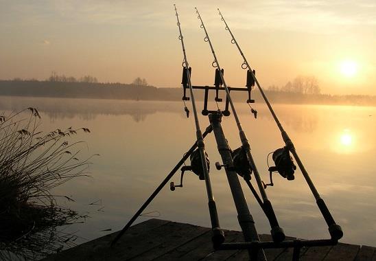 Echipamentul pentru plantat